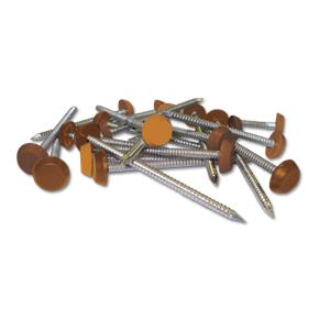 Plastic Headed Pins and Nails Oak
